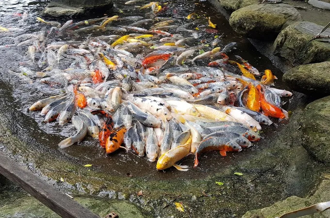 周國雄診所 照片 5