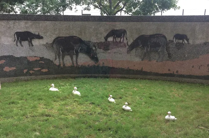 北國泰聯合診所 照片 4