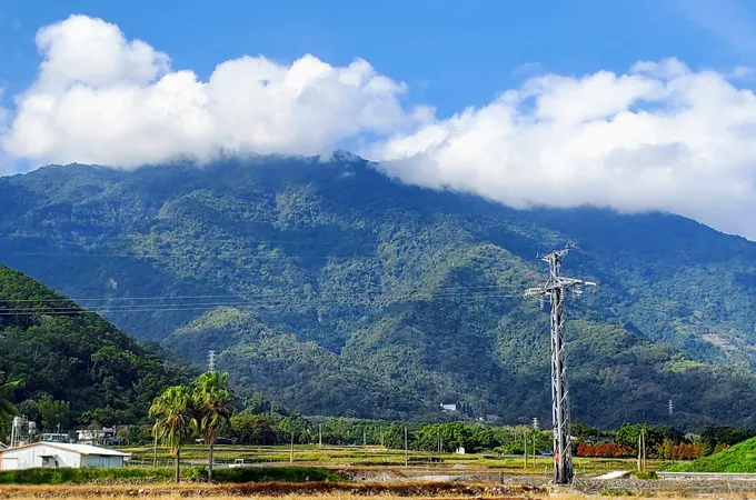 林宜璋小兒科診所 照片 3