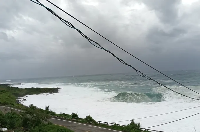 路加家庭醫師診所 照片 4