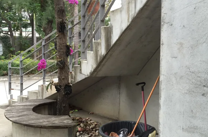 臺東縣臺東市衛生所 照片 5