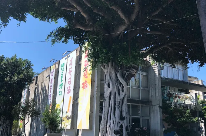 臺東縣臺東市衛生所 照片 7