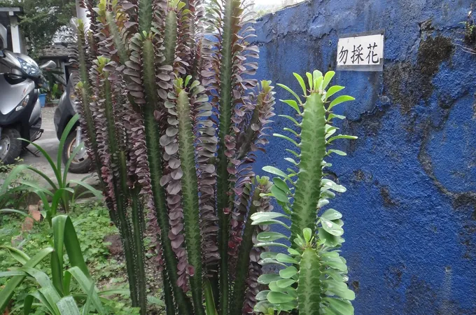 臺東縣延平鄉衛生所 照片 5