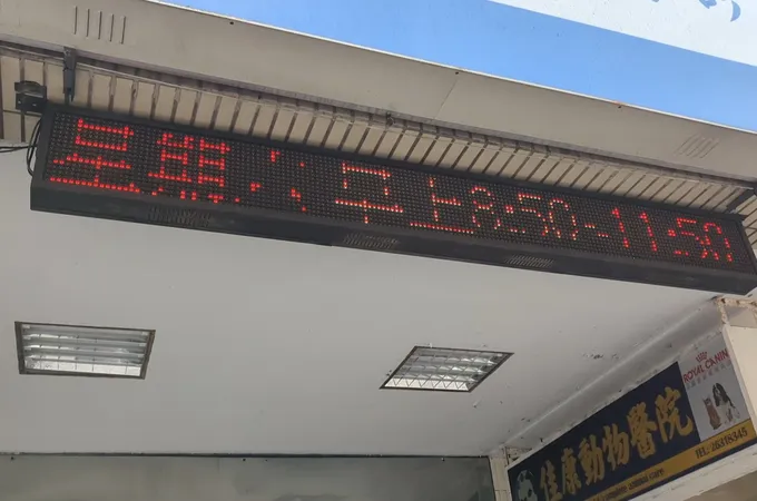 東湖張耳鼻喉科診所 照片 8