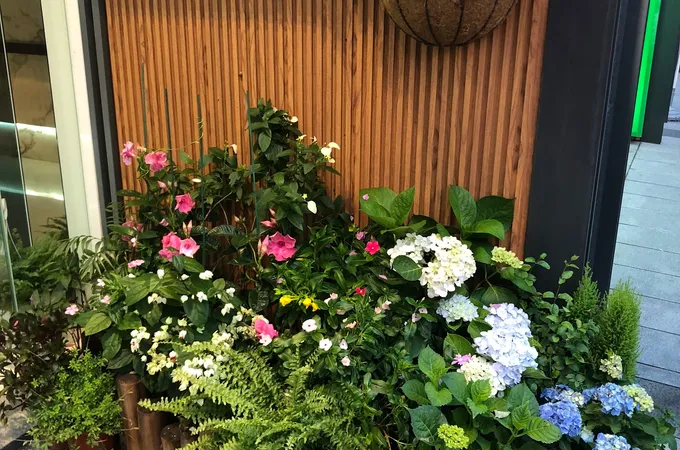 顏居雲中醫診所