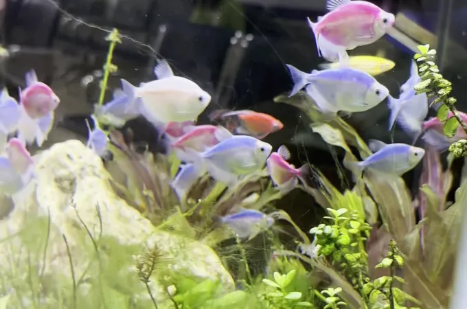 林信樺眼科診所 照片 3