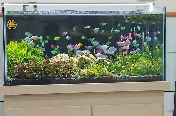 林信樺眼科診所 照片 5