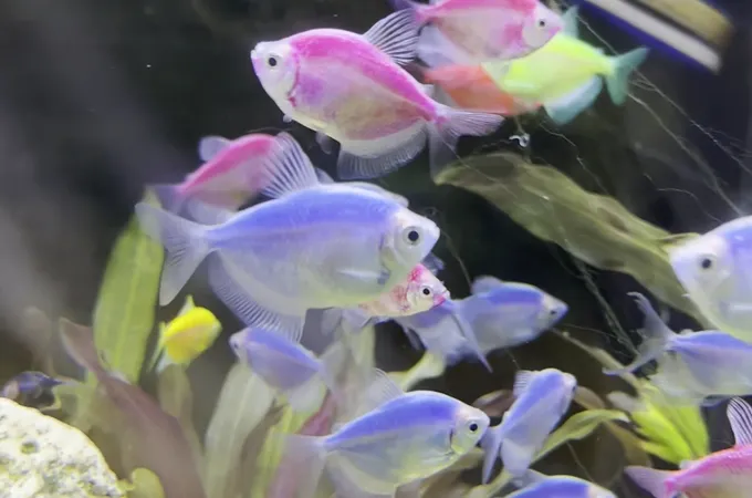 林信樺眼科診所 照片 6