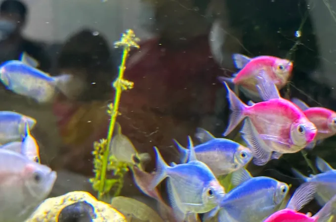 林信樺眼科診所 照片 8