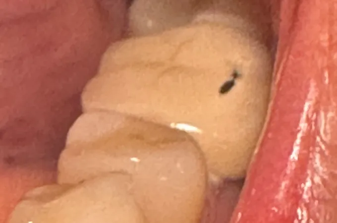 巧聖牙醫診所 照片 6