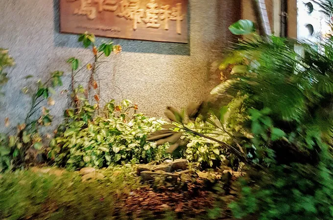 舒安婦產科診所