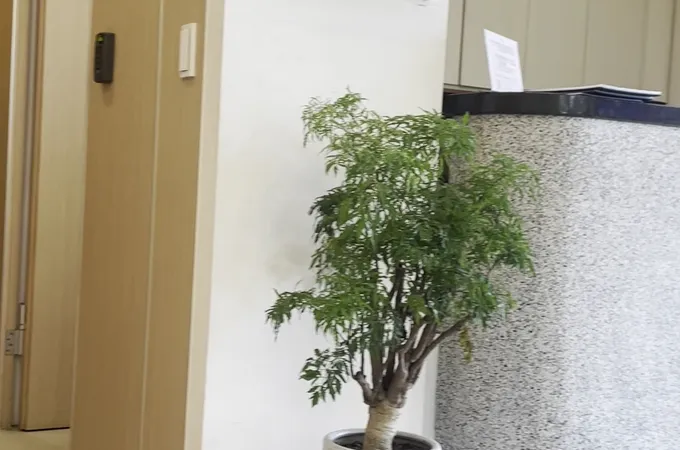 德心中醫診所 照片 6