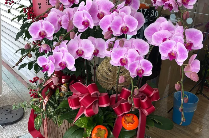 德隆中醫診所 照片 2