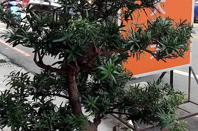 新仁牙醫診所 照片 2