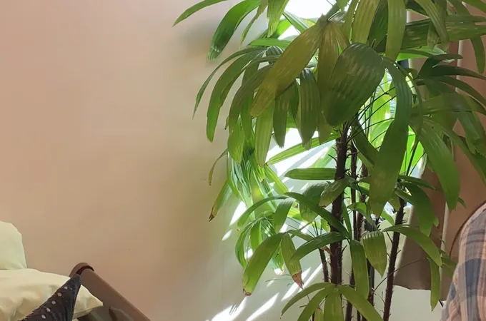 蔡國陞外科診所 照片 4