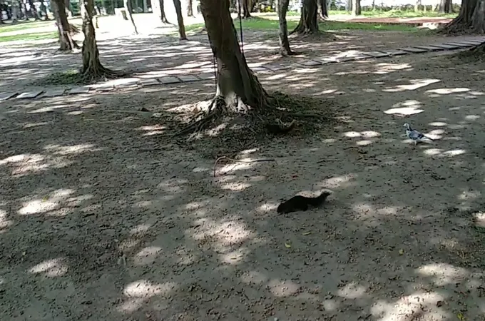 尹書田醫療財團法人書田泌尿科眼科診所 照片 4