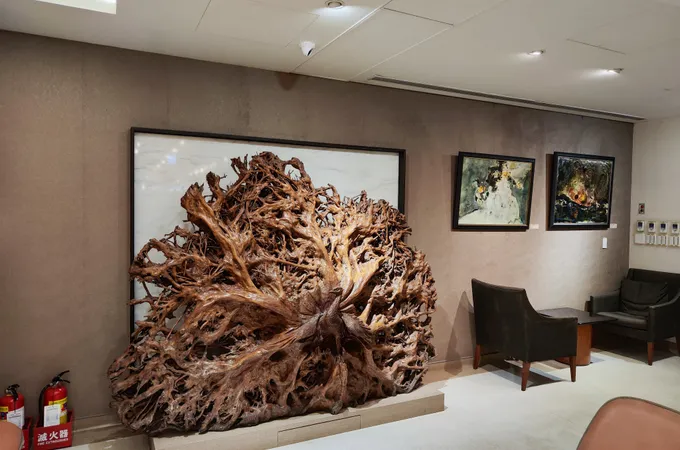 尹書田醫療財團法人書田泌尿科眼科診所 照片 7