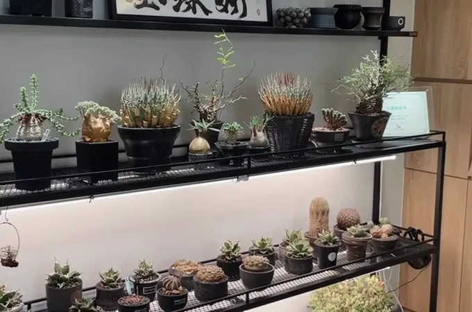 全臻妍美學診所