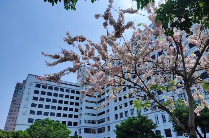 奇美醫療財團法人奇美醫院 照片 9