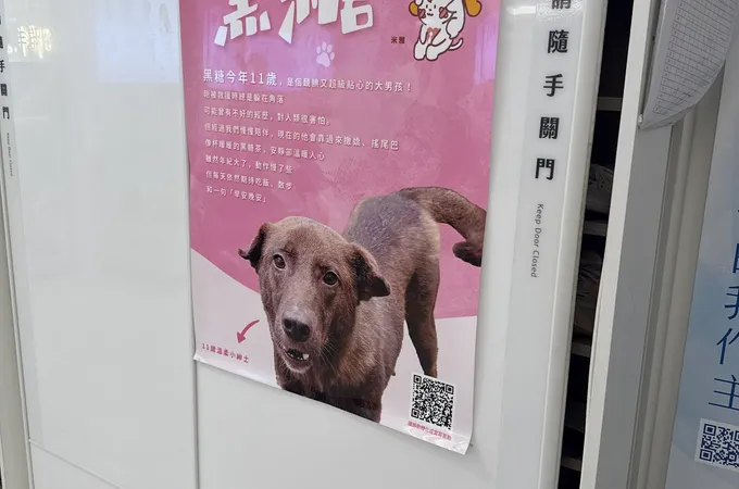 雅丰麗緻診所 照片 8