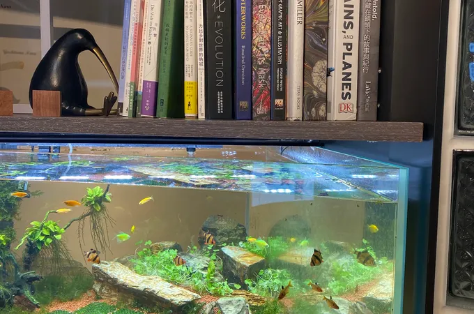 向陽身心診所 照片 2