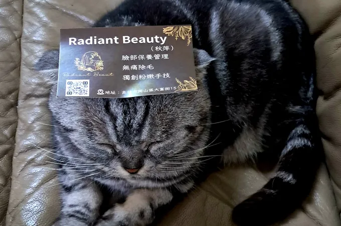 都市麗人美醫診所