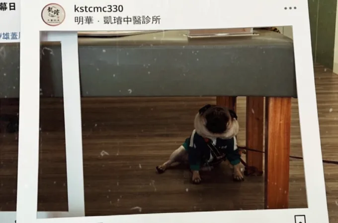 明華凱璿中醫診所 照片