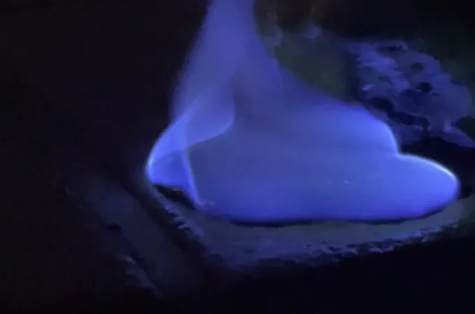 順美牙醫診所 照片