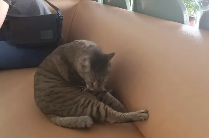建霖診所 照片