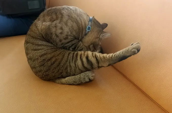 建霖診所 照片