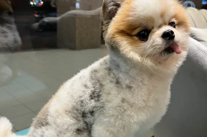 信義牙醫診所 照片 7