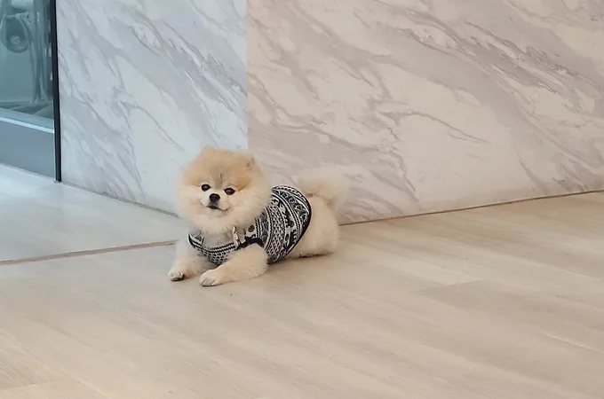 信義牙醫診所 照片 9