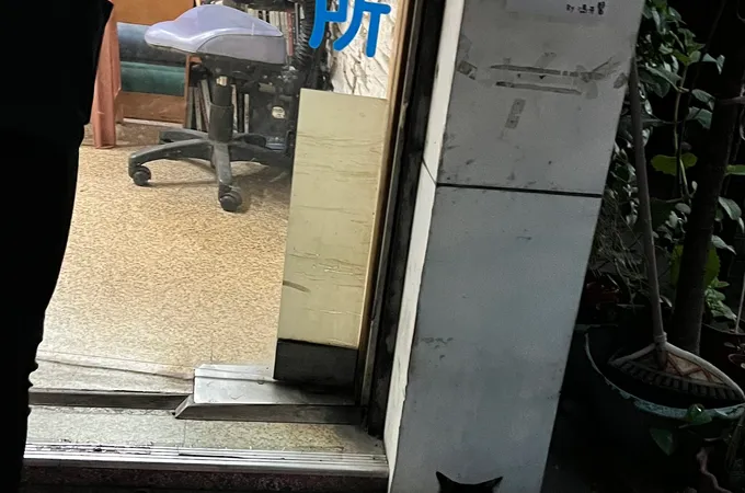 馮牙醫診所 照片