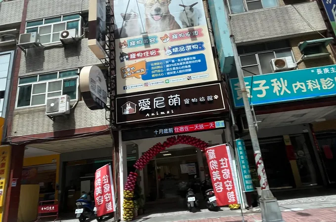 黃子秋內科診所 照片