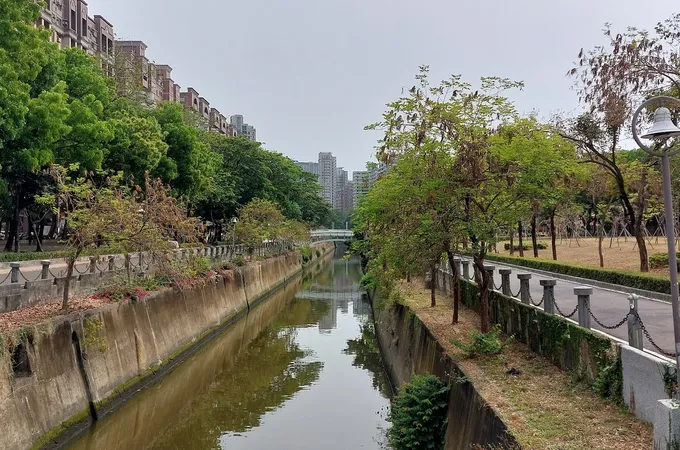 新世紀中醫診所 照片