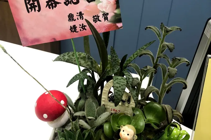 德容骨外科診所 照片