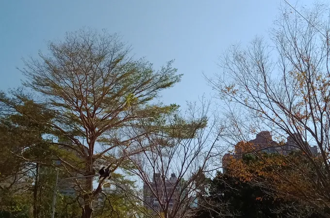 靜和醫院 照片 7