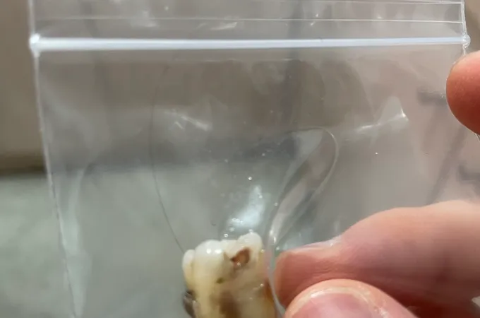 松城牙醫診所 照片