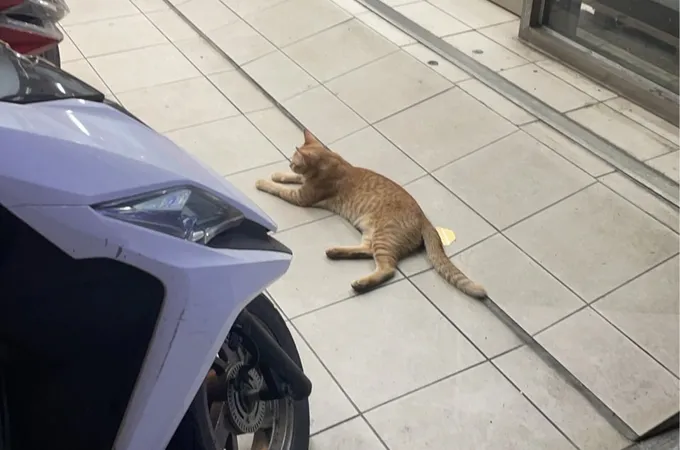 李卓為診所 照片