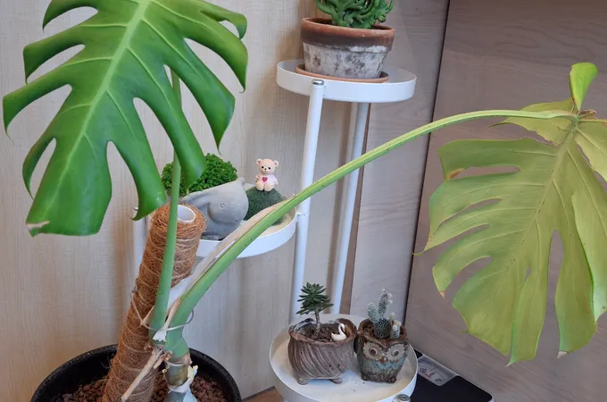 聊癒之森身心診所 照片 6