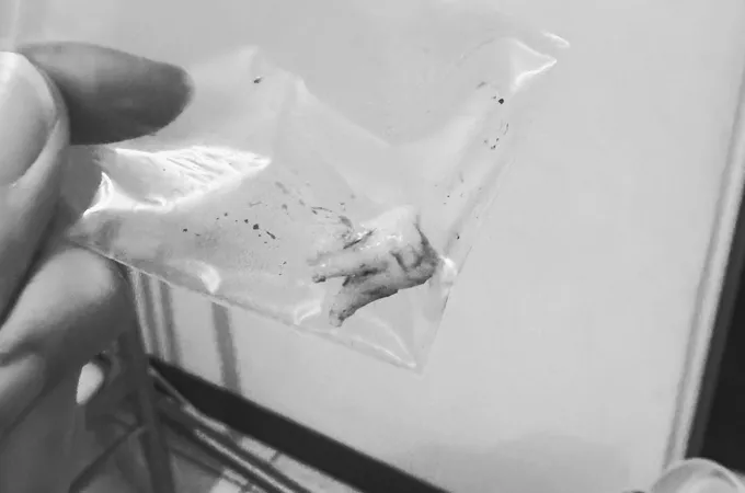 宏揚牙醫診所 照片