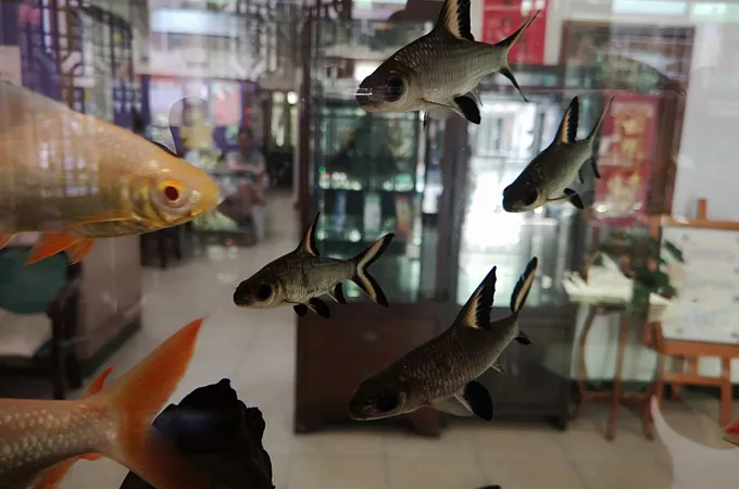 樺葳中醫診所 照片