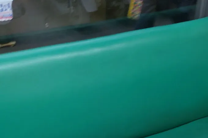 潘內兒科診所 照片 3