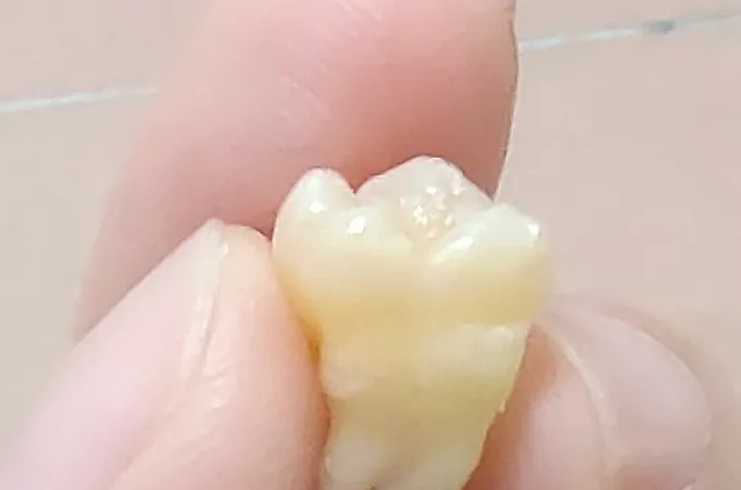 唐亨牙醫診所 照片 3