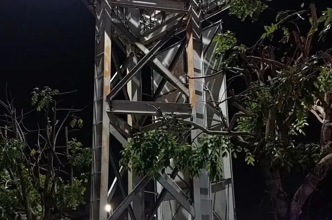 衛生福利部嘉義醫院 照片