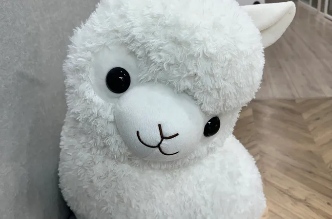 森凡牙醫診所 照片