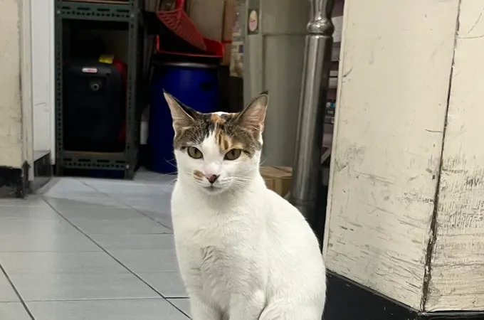 篤翎診所