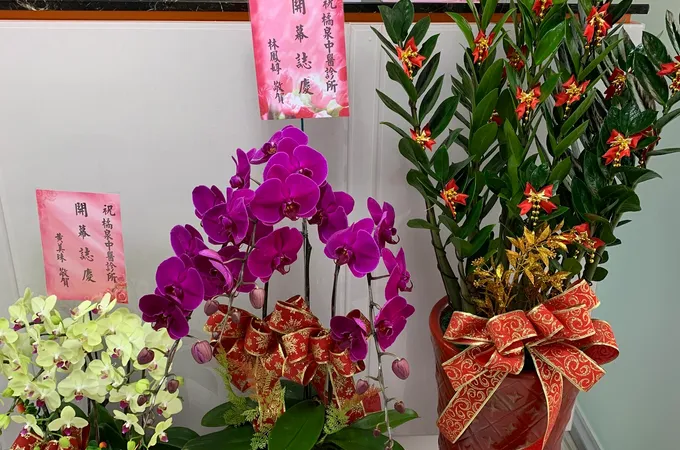 橘泉中醫診所 照片