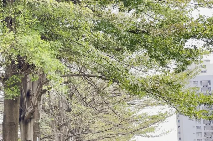 板橋榮譽國民之家醫務室 照片