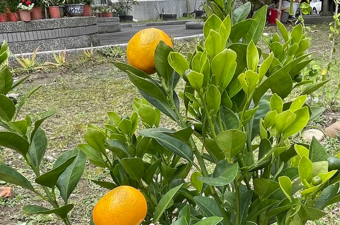 板橋榮譽國民之家醫務室 照片